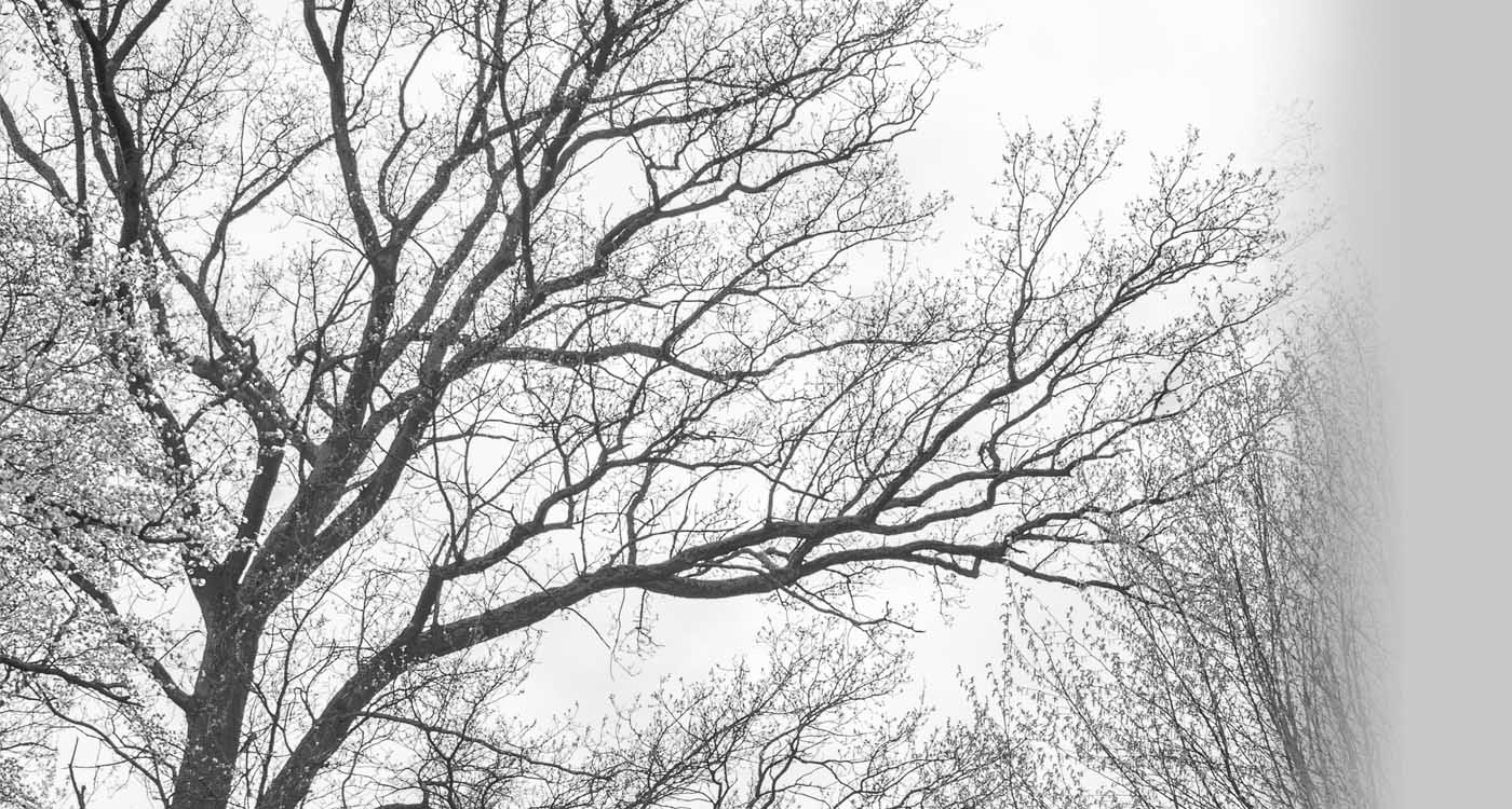 full screen background image